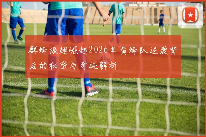 群蜂振翅崛起2026年黄蜂队逆袭背后的秘密与奇迹解析