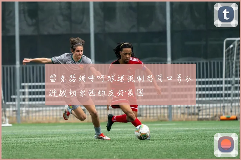 雷克瑟姆呼吁球迷抵制恐同口号以迎战切尔西的友好氛围